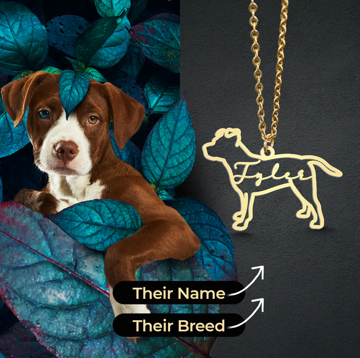 Personalized Necklace With Your Pets Name