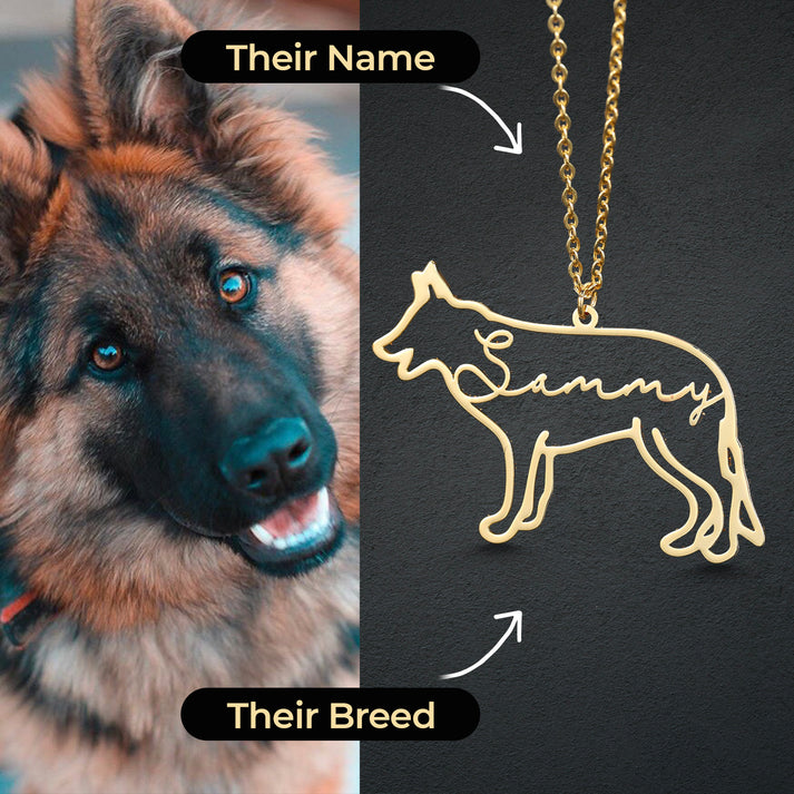 Personalized Necklace With Your Pets Name