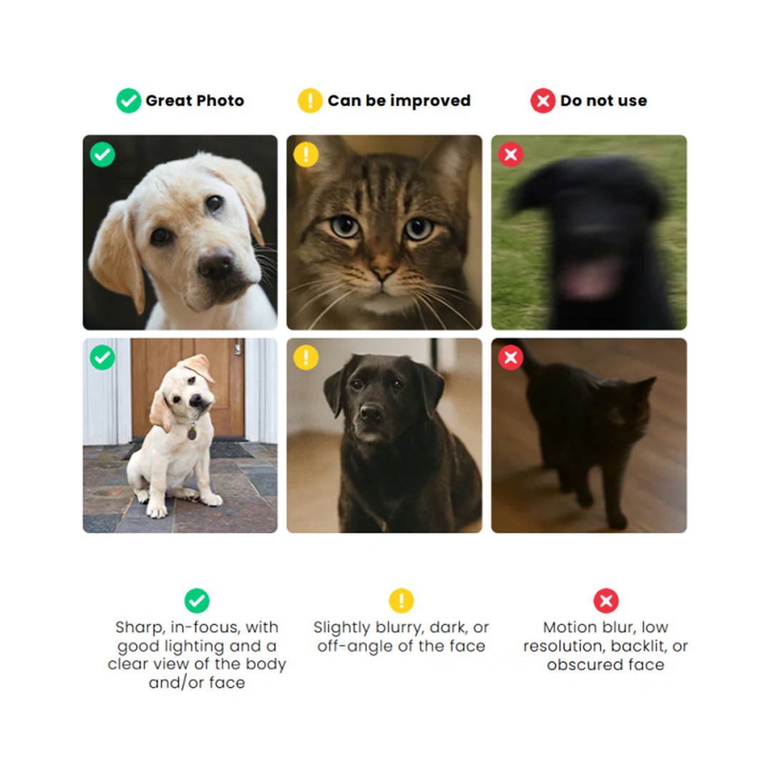 Personalized Pet Photo Name & Birthstone Necklace