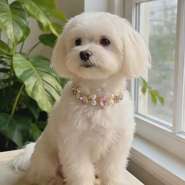 Pink Crystal Pearl Pet Necklace for Dogs & Cats